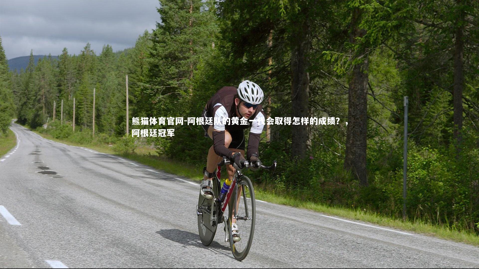 阿根廷队的黄金一代会取得怎样的成绩？，阿根廷冠军