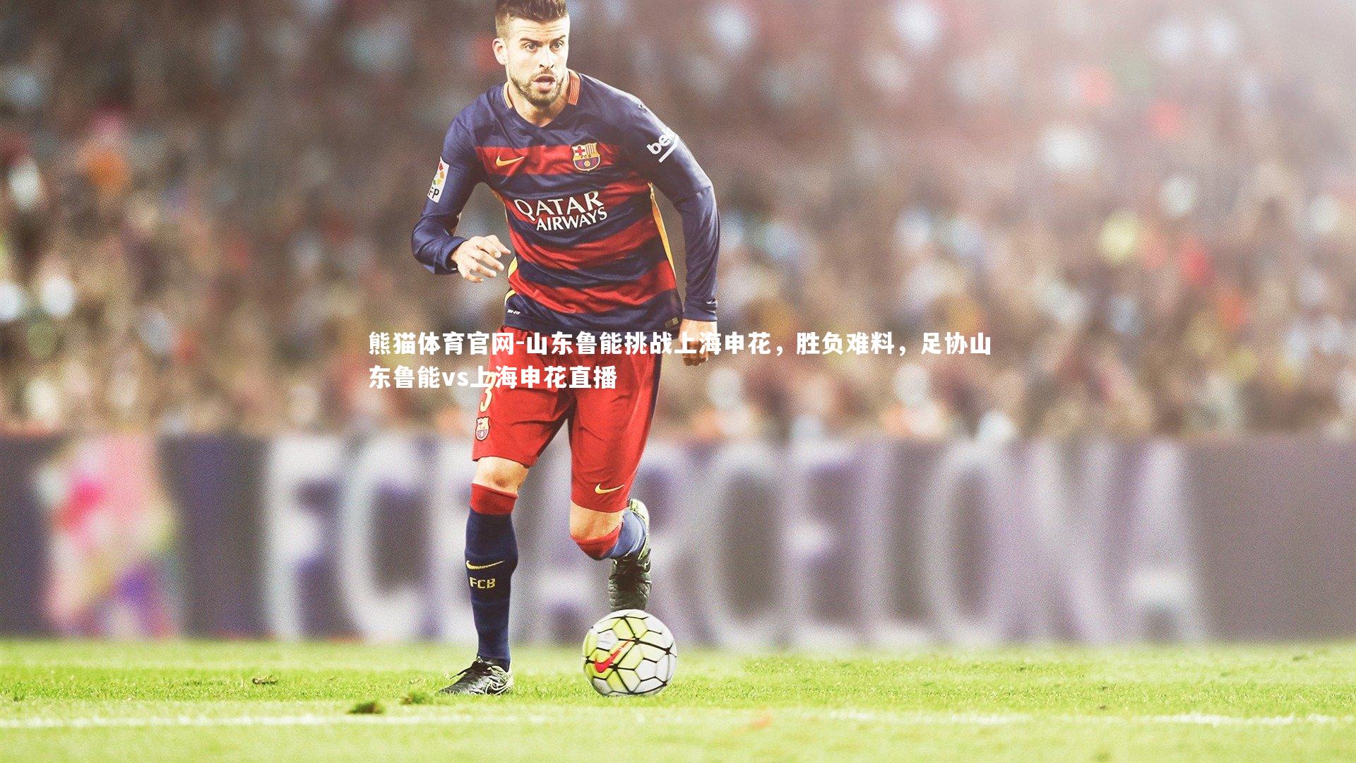 山东鲁能挑战上海申花,胜负难料,足协山东鲁能vs上海申花直播