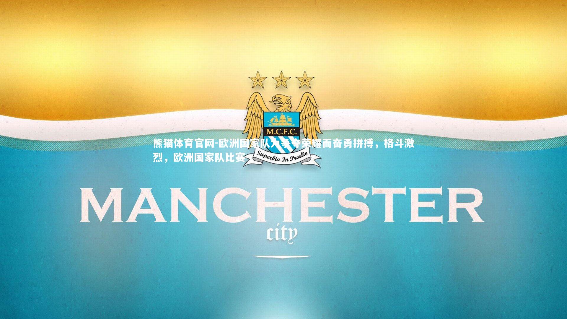 欧洲国家队为争夺荣耀而奋勇拼搏，格斗激烈，欧洲国家队比赛