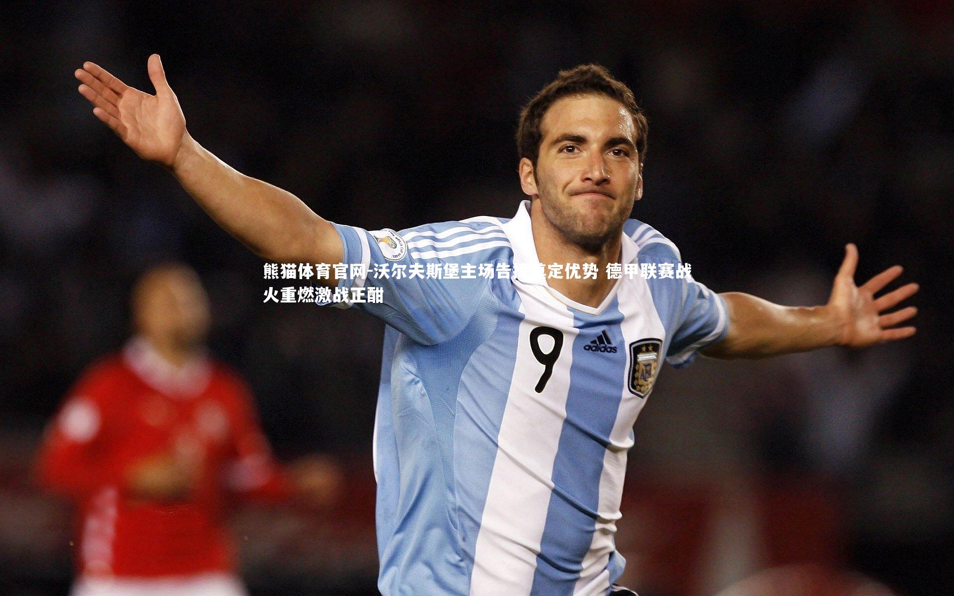 熊猫体育官网-沃尔夫斯堡主场告捷奠定优势 德甲联赛战火重燃激战正酣