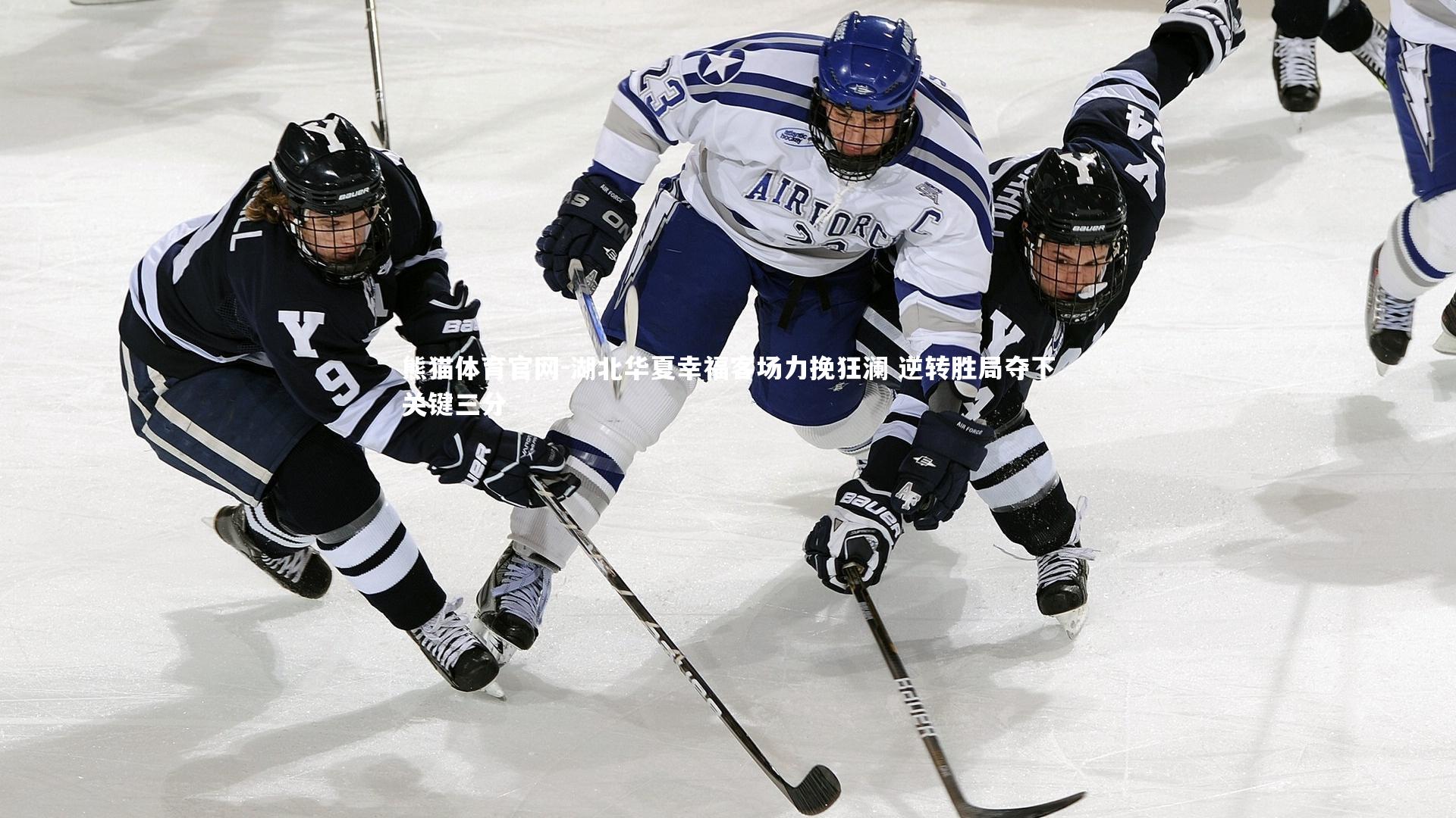 湖北华夏幸福客场力挽狂澜 逆转胜局夺下关键三分